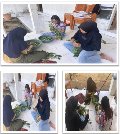 Pembuatan Biosaka (Pupuk Cair)