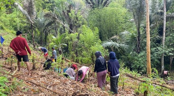 Penanaman Bibit Pepaya oleh Mahasiswa KKN 